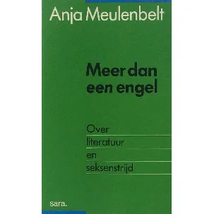 Afbeelding van Meer dan een engel