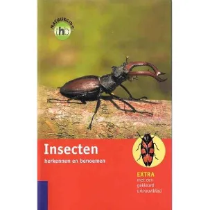 Afbeelding van Insecten