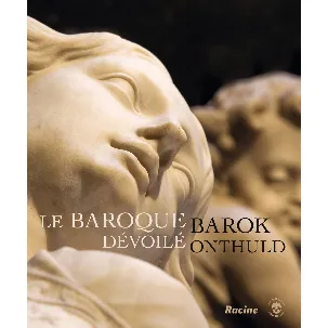 Afbeelding van Le baroque dévoilé