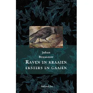 Afbeelding van Raven en kraaien, eksters en gaaien