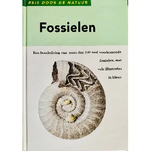 Afbeelding van Fossielen