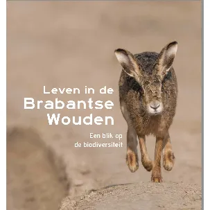 Afbeelding van Brabantse Wouden
