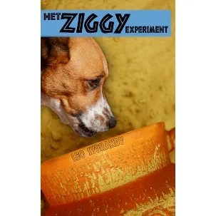Afbeelding van Het Ziggy experiment
