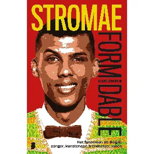 Afbeelding van Stromae : Formidable