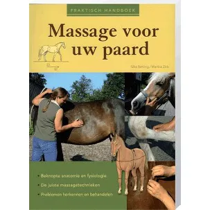 Afbeelding van Massage voor uw paard