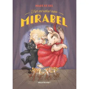 Afbeelding van Het mirakel van Mirabel