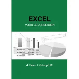 Afbeelding van Excel voor Gevorderden