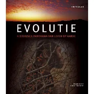 Afbeelding van Evolutie