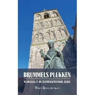 Afbeelding van BRUMMELS PLUKKEN - Oldenzaal in de vijftiger/zestiger jaren