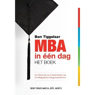 Afbeelding van Ben Tiggelaar MBA in een dag - het boek