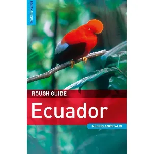 Afbeelding van Rough Guide Ecuador