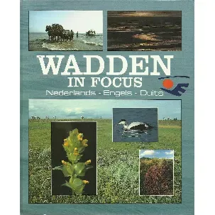 Afbeelding van Wadden in focus