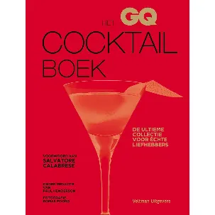 Afbeelding van Het GQ cocktailboek