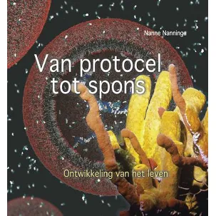 Afbeelding van Wetenschappelijke bibliotheek 119 - Van protocel tot spons