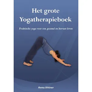 Afbeelding van Het grote yogatherapieboek