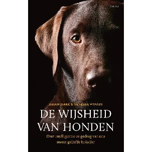 Afbeelding van De wijsheid van de honden