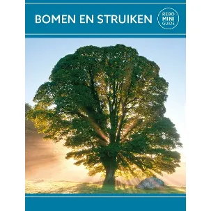Afbeelding van Bomen en struiken - Rebo mini guide