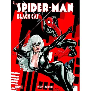 Afbeelding van Spider-Man and the Black Cat