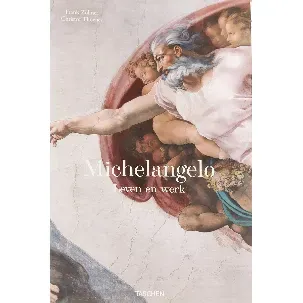 Afbeelding van Michelangelo (Go)