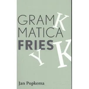 Afbeelding van Grammatica Fries