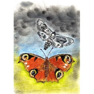 Afbeelding van Vlinders