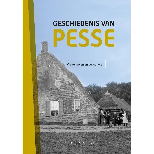 Afbeelding van Groningen Archaeological Studies- Geschiedenis Van Pesse (Set)