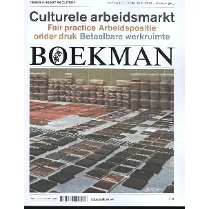 Afbeelding van Boekman 117 - Culturele arbeidsmarkt
