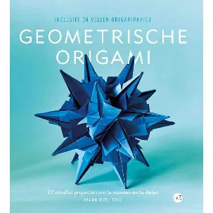 Afbeelding van De kunst van Geometrische origami