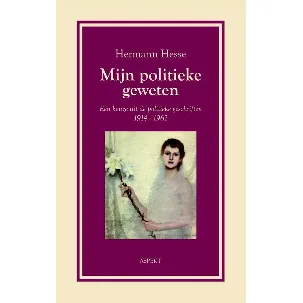 Afbeelding van Mijn politieke geweten