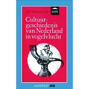Afbeelding van Vantoen.nu - Cultuurgeschiedenis van Nederland in vogelvlucht
