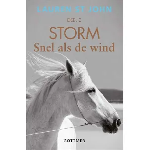 Afbeelding van Storm 2 - Snel als de wind