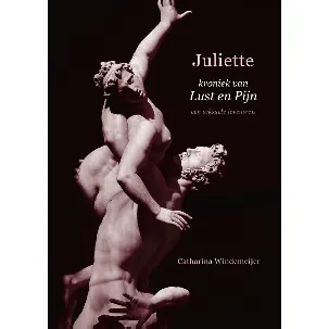 Afbeelding van Juliette, kroniek van Lust en Pijn