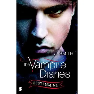 Afbeelding van The Vampire Diaries 10 - Bestemming