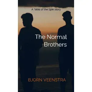 Afbeelding van The Normal Brothers
