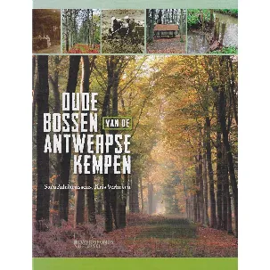 Afbeelding van Oude bossen van de Antwerpse Kempen