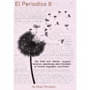 Afbeelding van El Periodico II