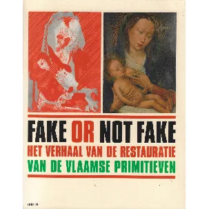 Afbeelding van Fake not fake - Hélène Verougstraete, Roger Van Schoute, Till-Holger Borchert