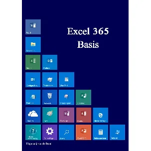 Afbeelding van Excel 365 basis