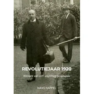Afbeelding van Revolutiejaar 1920