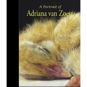 Afbeelding van A portrait of Adriana van Zoest