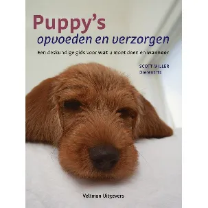 Afbeelding van Puppy's opvoeden en verzorgen