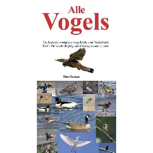 Afbeelding van Alle vogels in Nederland 1 - Alle Vogels