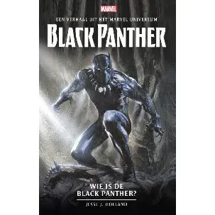 Afbeelding van Marvel - Wie is de Black Panther?