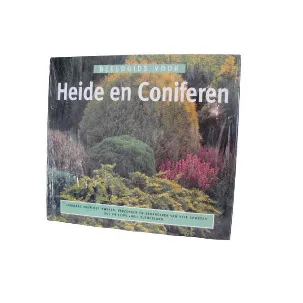 Afbeelding van Heide en coniferen