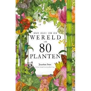 Afbeelding van Een reis om de wereld in 80 planten
