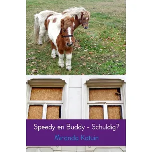 Afbeelding van Speedy en Buddy - Schuldig?
