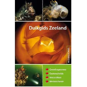 Afbeelding van Duikgids Zeeland