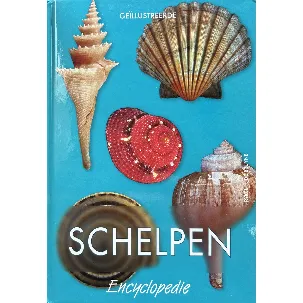 Afbeelding van Schelpen encyclopedie