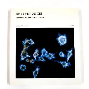Afbeelding van 1 Levende cel
