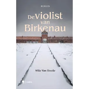 Afbeelding van De violist van Birkenau